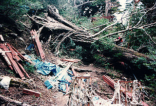 19961105_0100_thumb.jpg