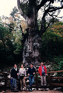 19961105_0130_thumb.jpg