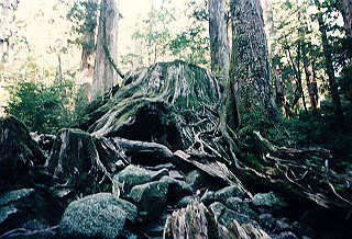 19961105_0180_thumb.jpg