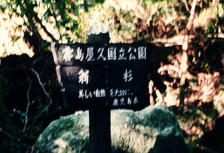 19961105_0190_thumb.jpg
