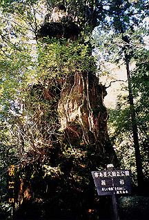 19961105_0192_thumb.jpg