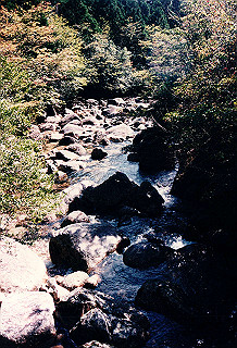 19961105_0290_thumb.jpg