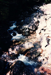 19961105_0300_thumb.jpg