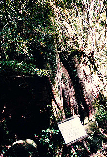 19961105_0330_thumb.jpg