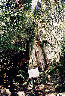 19961105_0332_thumb.jpg