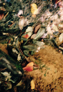 19961105_0360_thumb.jpg