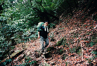 19961105_0420_thumb.jpg