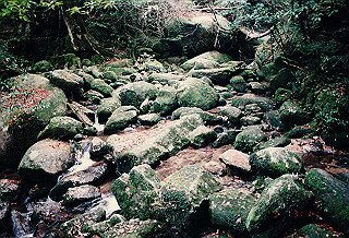 19961105_0460_thumb.jpg