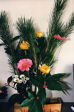 19970101_024_thumb.jpg