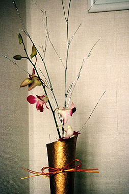 19970101_025_thumb.jpg