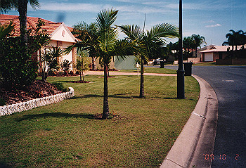 19970928_041_thumb.jpg