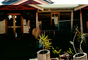 19970928_072_thumb.jpg