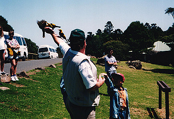 19970928_078_thumb.jpg