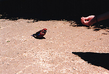 19970928_079_thumb.jpg