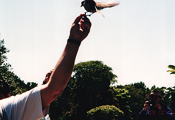 19970928_080_thumb.jpg
