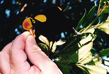 19970928_081_thumb.jpg