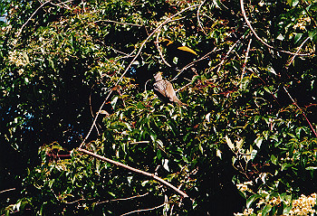 19970928_082_thumb.jpg