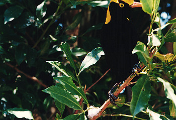 19970928_083_thumb.jpg