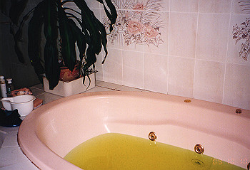 19970928_126_thumb.jpg