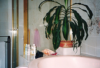 19970928_128_thumb.jpg