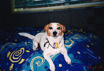 19970928_129_thumb.jpg