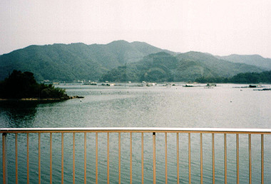 19980821_015_thumb.jpg