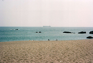 19980821_023_thumb.jpg