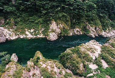 19980821_051_thumb.jpg