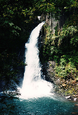 19990827_045_thumb.jpg
