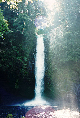 19990827_055_thumb.jpg