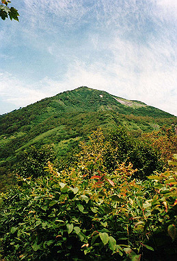 19990827_105_thumb.jpg