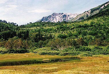 19990827_132_thumb.jpg