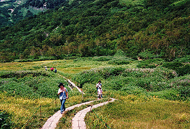 19990827_138_thumb.jpg