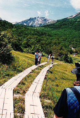 19990827_139_thumb.jpg