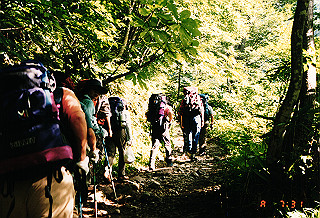 19990807_003_thumb.jpg