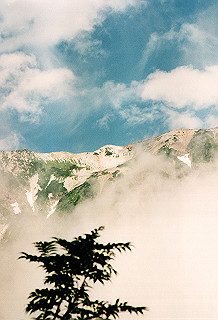 19990807_008_thumb.jpg