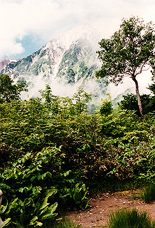 19990807_022_thumb.jpg