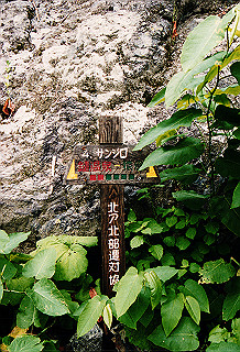 19990807_030_thumb.jpg