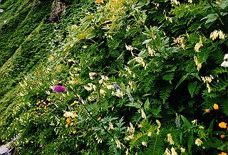 19990807_039_thumb.jpg
