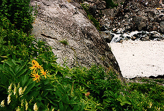 19990807_040_thumb.jpg
