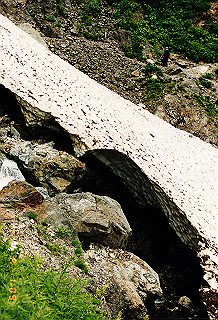 19990807_049_thumb.jpg