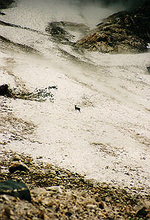 19990807_052_thumb.jpg