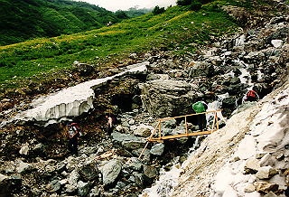 19990807_056_thumb.jpg