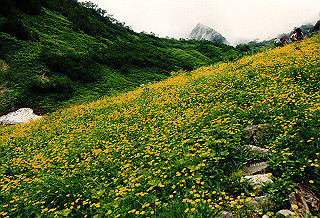 19990807_060_thumb.jpg