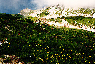 19990808_018_thumb.jpg