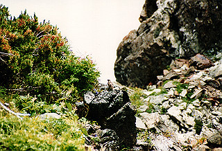 19990808_037_thumb.jpg