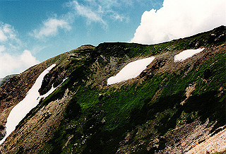 19990808_039_thumb.jpg