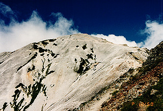 19990808_041_thumb.jpg