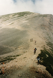 19990808_051_thumb.jpg