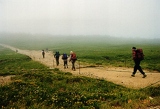 19990810_002_thumb.jpg